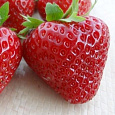 Земляника садовая Флорин Земляника садовая Флорин