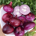 Лук репчатый Брунсвик