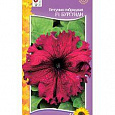Петуния Гибридная фриллитуния F1 бургунди Петуния Гибридная фриллитуния F1 бургунди